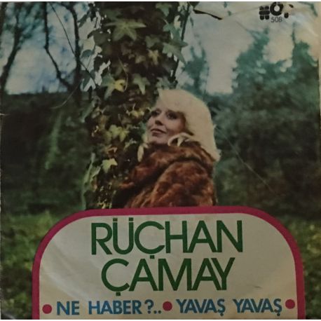 Rüçhan Çamay ‎– Ne Haber? / Yavaş Yavaş