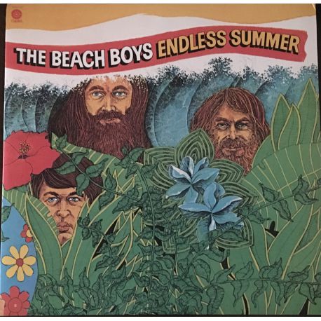 The Beach Boys ‎– Endless Summer 2lp