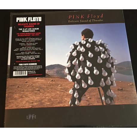 Pink Floyd ‎– Delicate Sound Of Thunder 2 LP